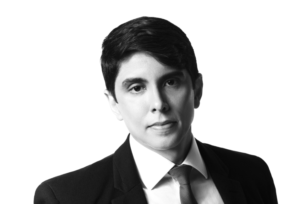 Dr. Luís Mariani - Mariani Advocacia - Consultoria Jurídica Personalizada